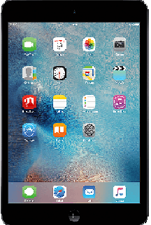 iPad mini 2